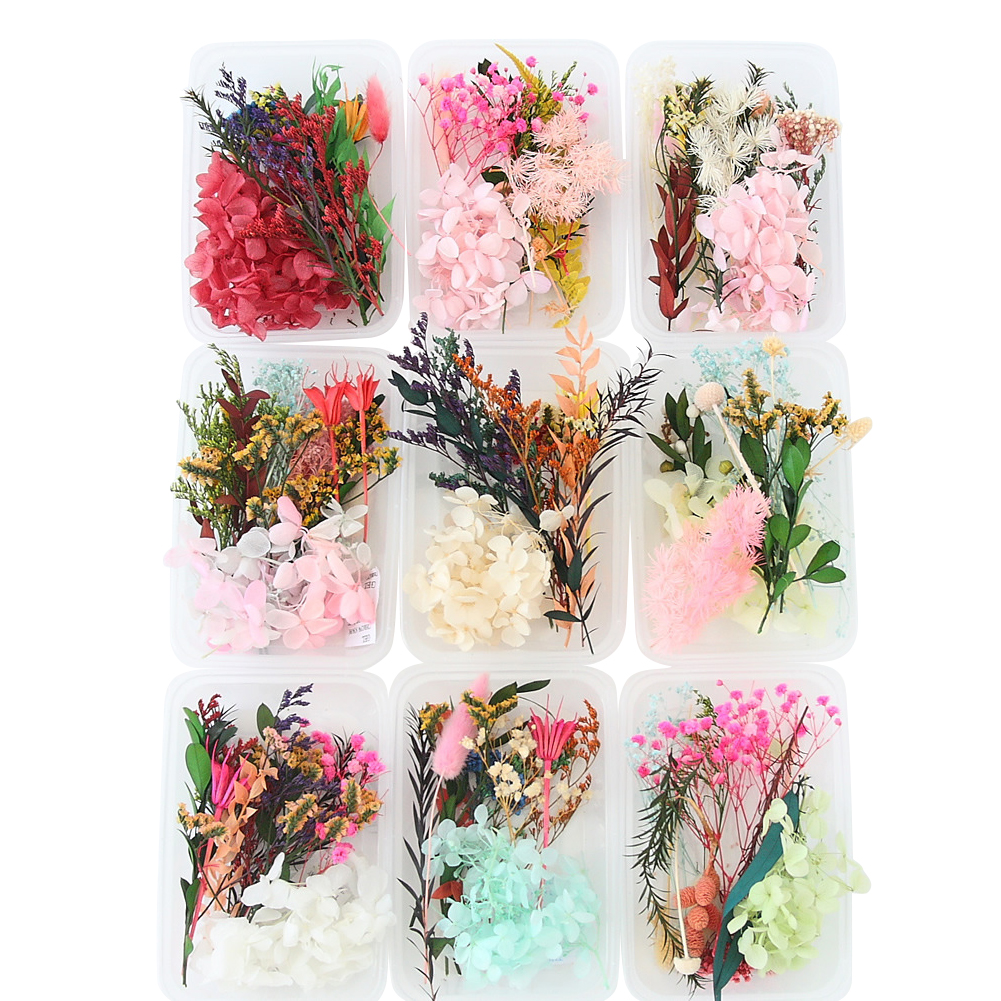 Art Craft 2 Year Olds - Real Dried Flowers Leaves Set Crafts