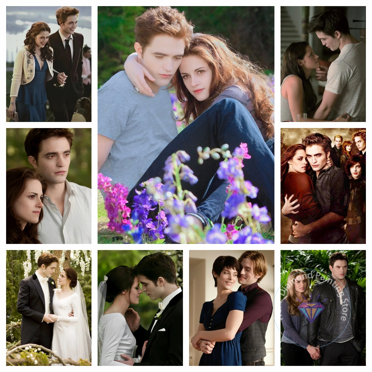 Twilight  Romance Science Fict - Art And Craft Science 评论和价格