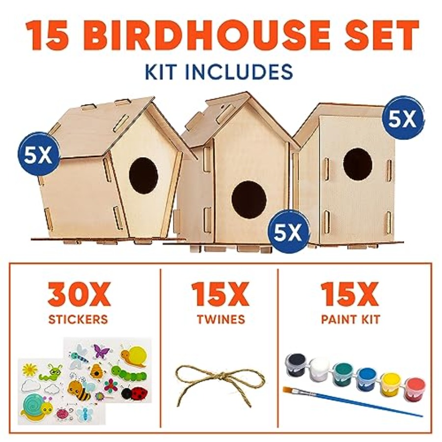 Kit - Unfinished Wood Bird Hou - Art & Craft Paper Ideas For Kids 评论和价格