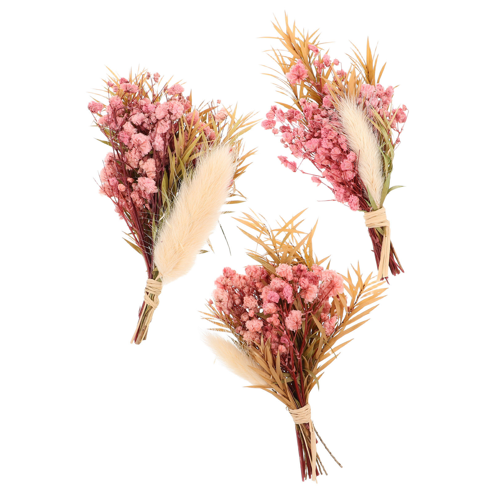 3Pcs Mini Dried Floral Bouquet - Art Craft Vase 评论和价格