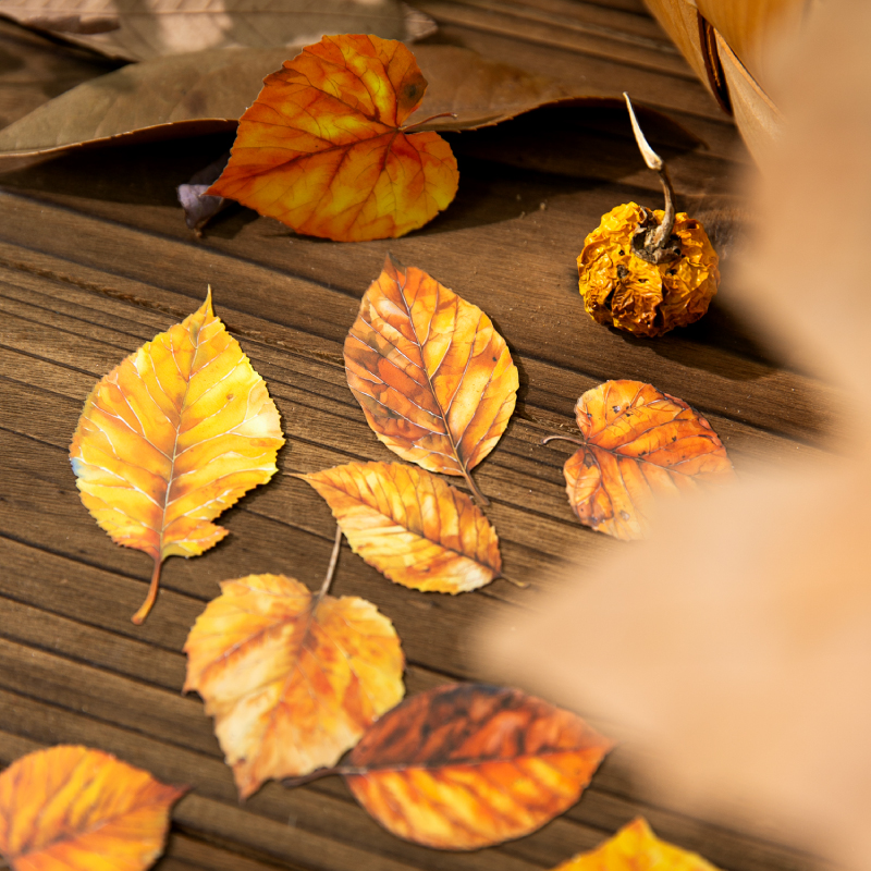 Journal GO 20pcs Golden Autumn - Art Craft With Leaves 评论和价格