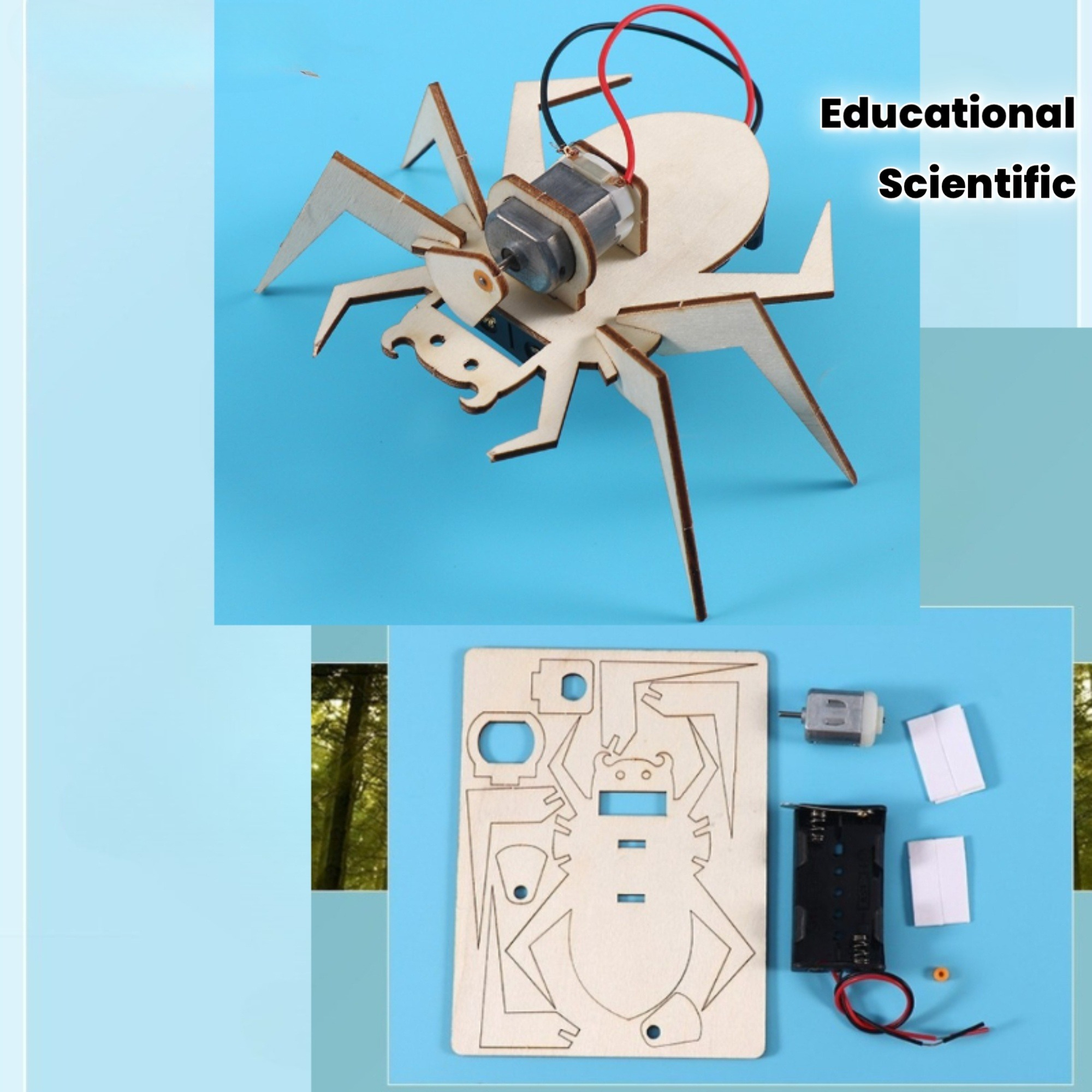 Spider 3D Puzzles STEM Science - Art And Craft Science 评论和价格