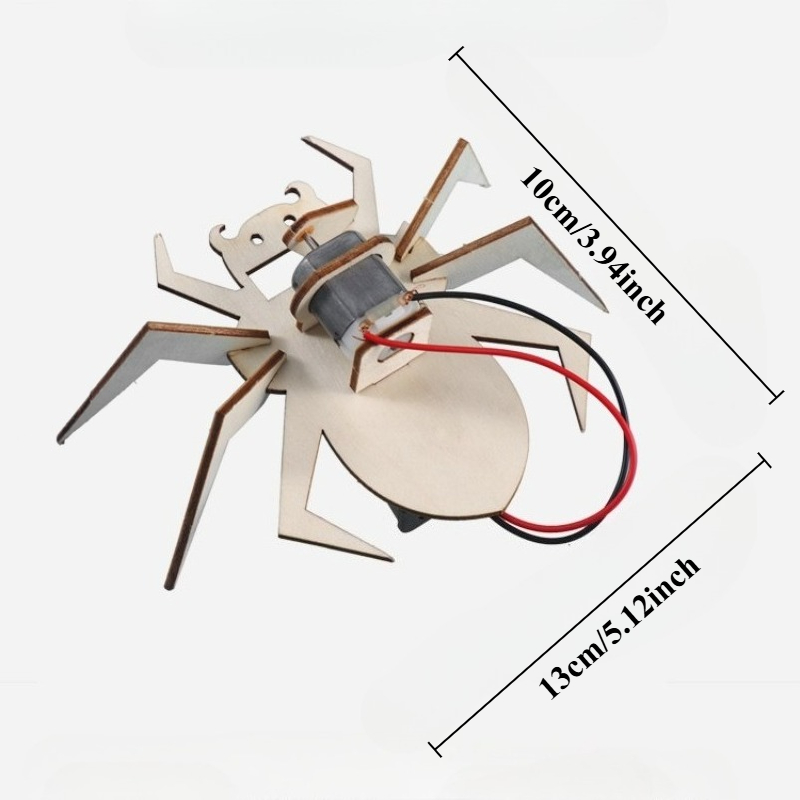 Spider 3D Puzzles STEM Science - Art And Craft Science 评论和价格