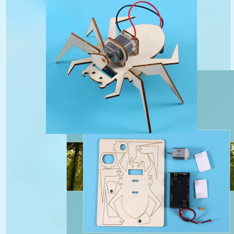 Spider 3D Puzzles STEM Science - Art And Craft Science 评论和价格