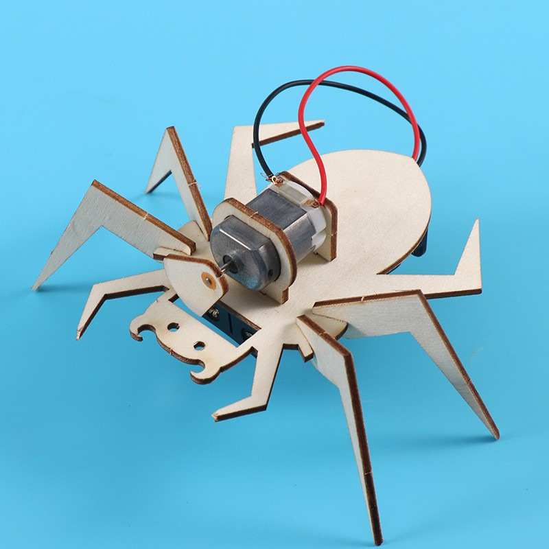 Spider 3D Puzzles STEM Science - Art And Craft Science 评论和价格