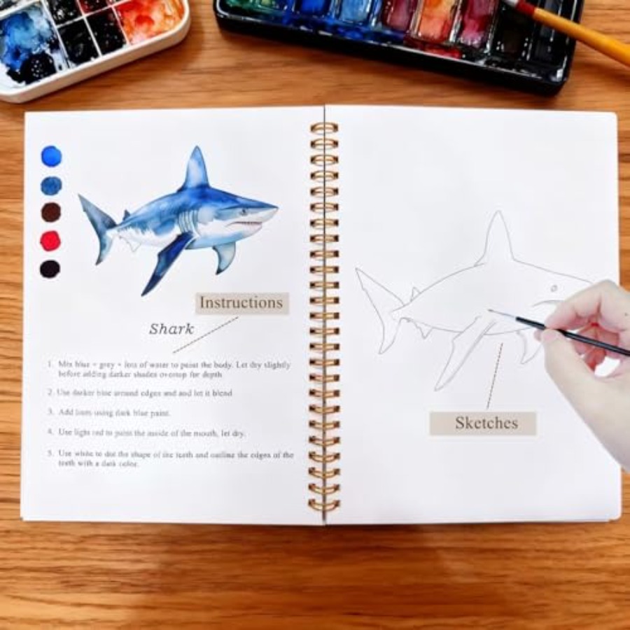 Watercolor Workbooks Coloring  - Art Craft Easy 评论和价格