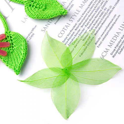 Natural Catbrier Skeleton Leav - Art Craft With Leaves 评论和价格