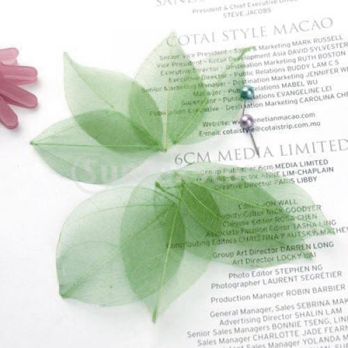 Natural Catbrier Skeleton Leav - Art Craft With Leaves 评论和价格
