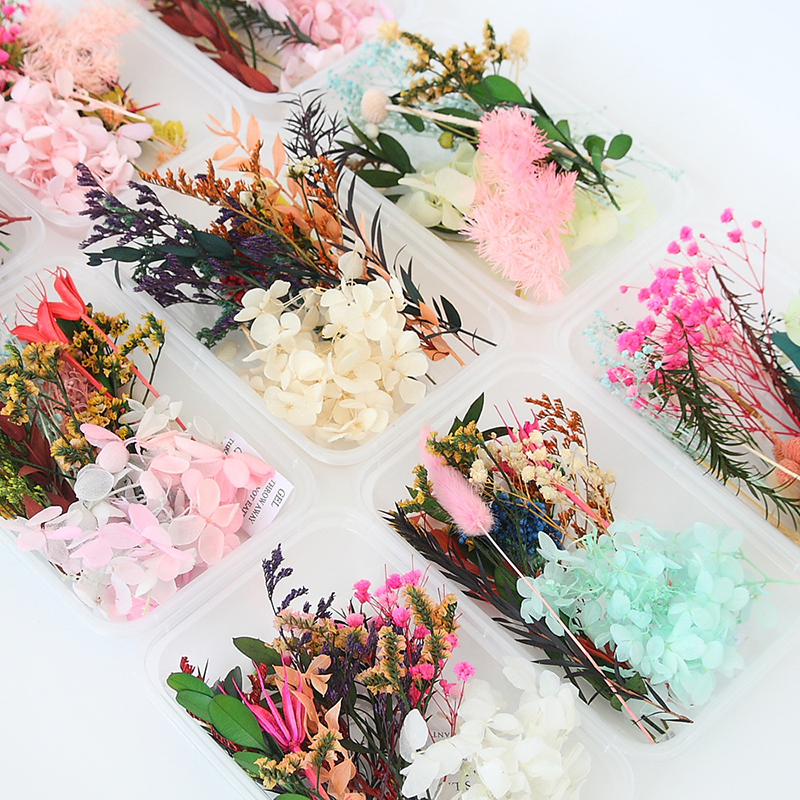 Real Dried Flowers Leaves Set  - Art Craft 2 Year Olds 评论和价格