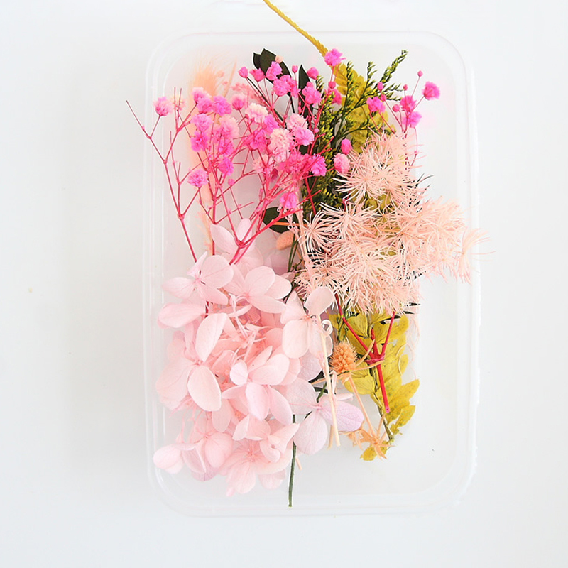 Real Dried Flowers Leaves Set  - Art Craft 2 Year Olds 评论和价格