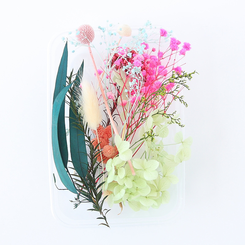Real Dried Flowers Leaves Set  - Art Craft 2 Year Olds 评论和价格