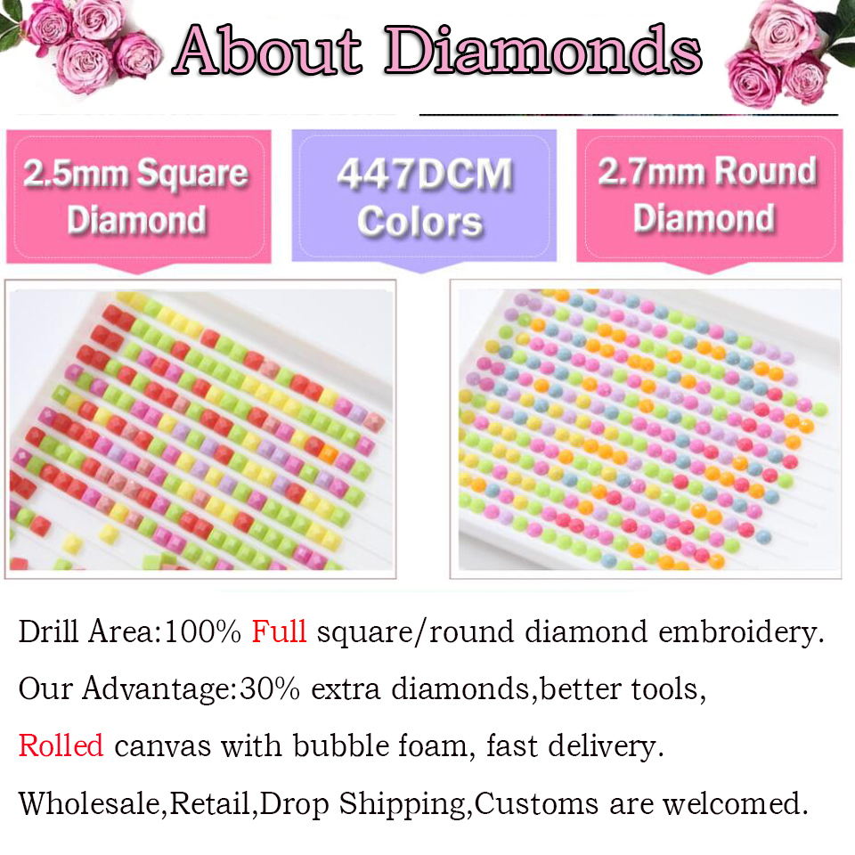 DIY Diamond Painting Wall Art  - Art Craft Village 评论和价格