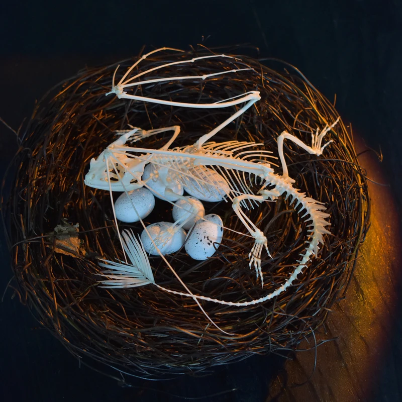 2125 Toothless Dragon Skeleton - Art And Craft Science 评论和价格