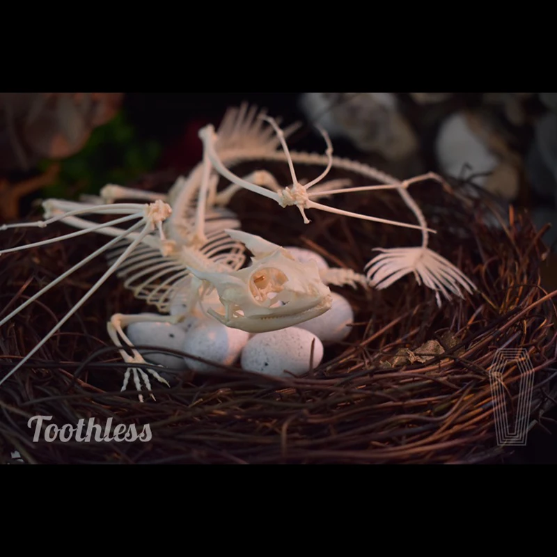 2125 Toothless Dragon Skeleton - Art And Craft Science 评论和价格